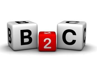 长益科技打造信誉楼b2c平台