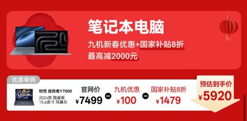 过年换新,国补真香