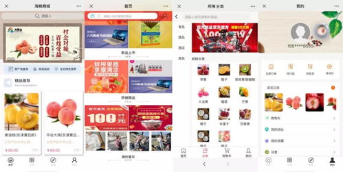 开拓数字销路,电商建站服务神助攻数码商城