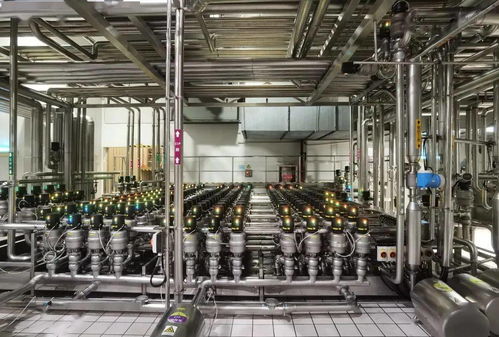 赋能数字中枢 光明华东中心工厂的智能之路